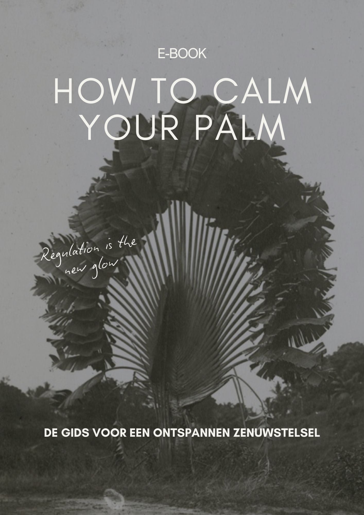 E-book How to calm your palm